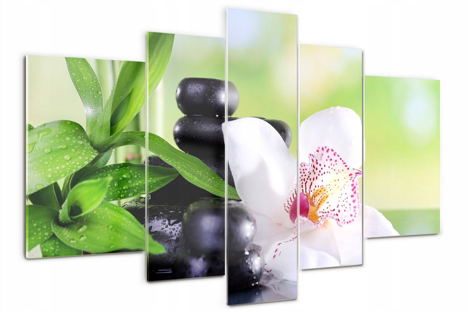 

Foto Obraz szklany duży tryptyk Orchidea kwiaty