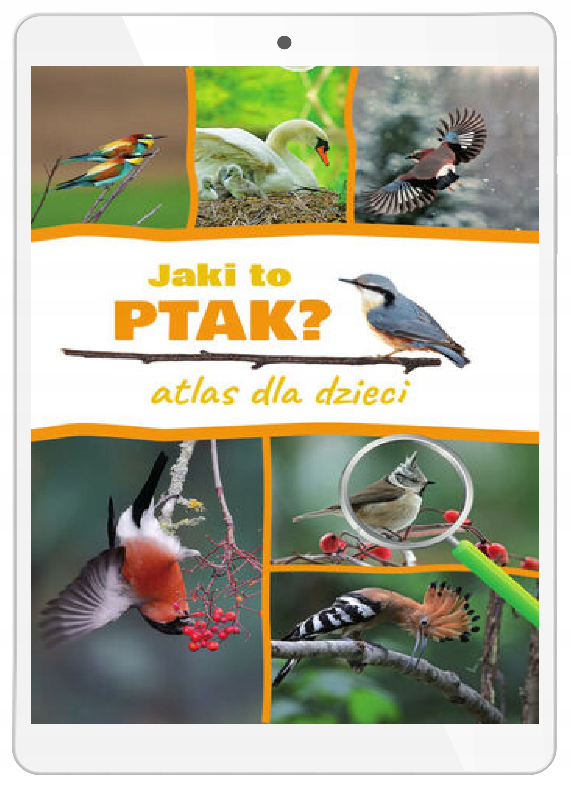 Jaki to ptak? Atlas dla dzieci