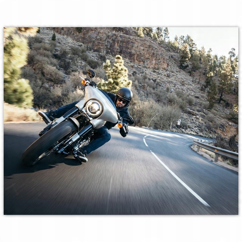 

Plakat 50x40 Harley Davidson Motocykl