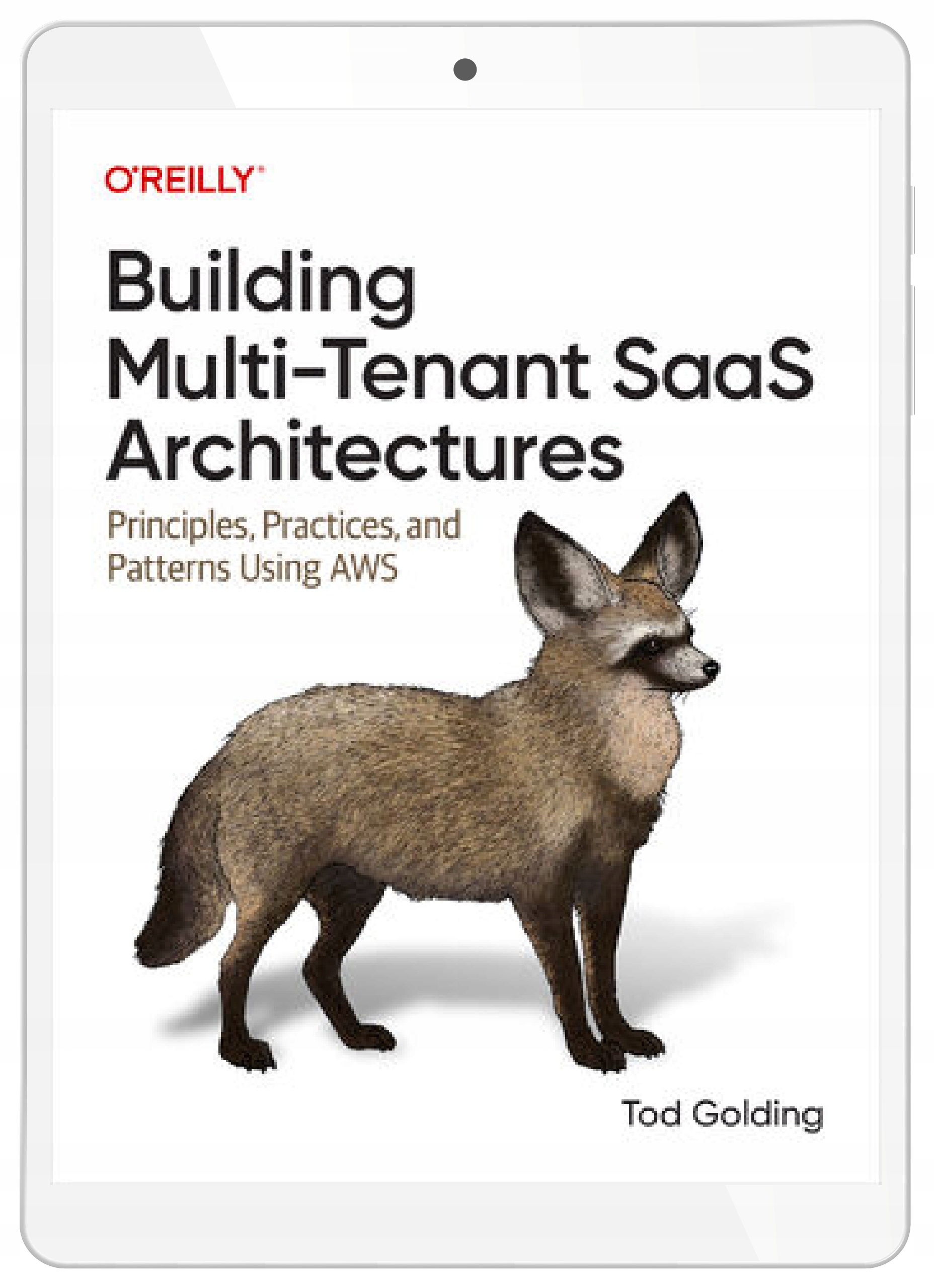 Building Multi-Tenant SaaS Architectures