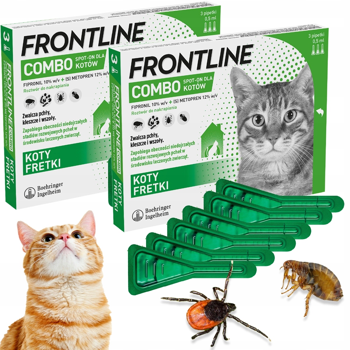 Frontline Combo dla Kota na Pchły i Kleszcze wszoły 6 Pipet krople 180 dni