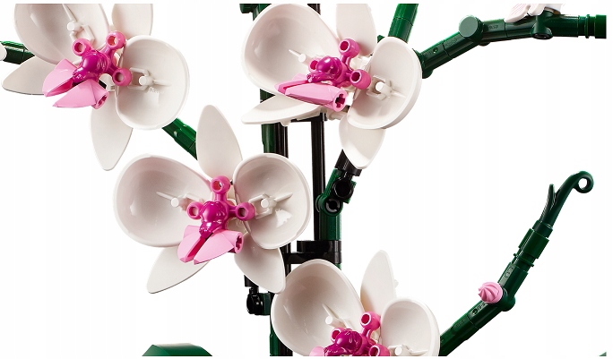 LEGO 10311 CREATOR EXPERT - ORCHIDEA Nazwa zestawu Orchidea