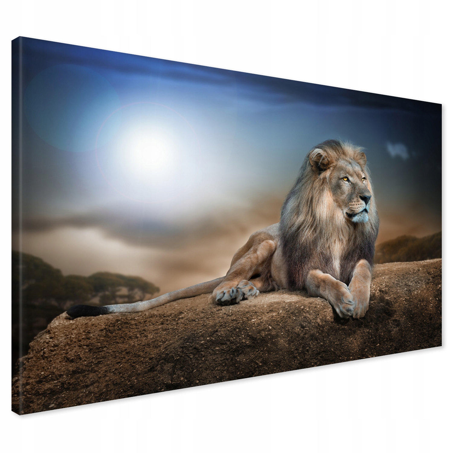 

Obraz na płótnie lew kamień safari 120x80