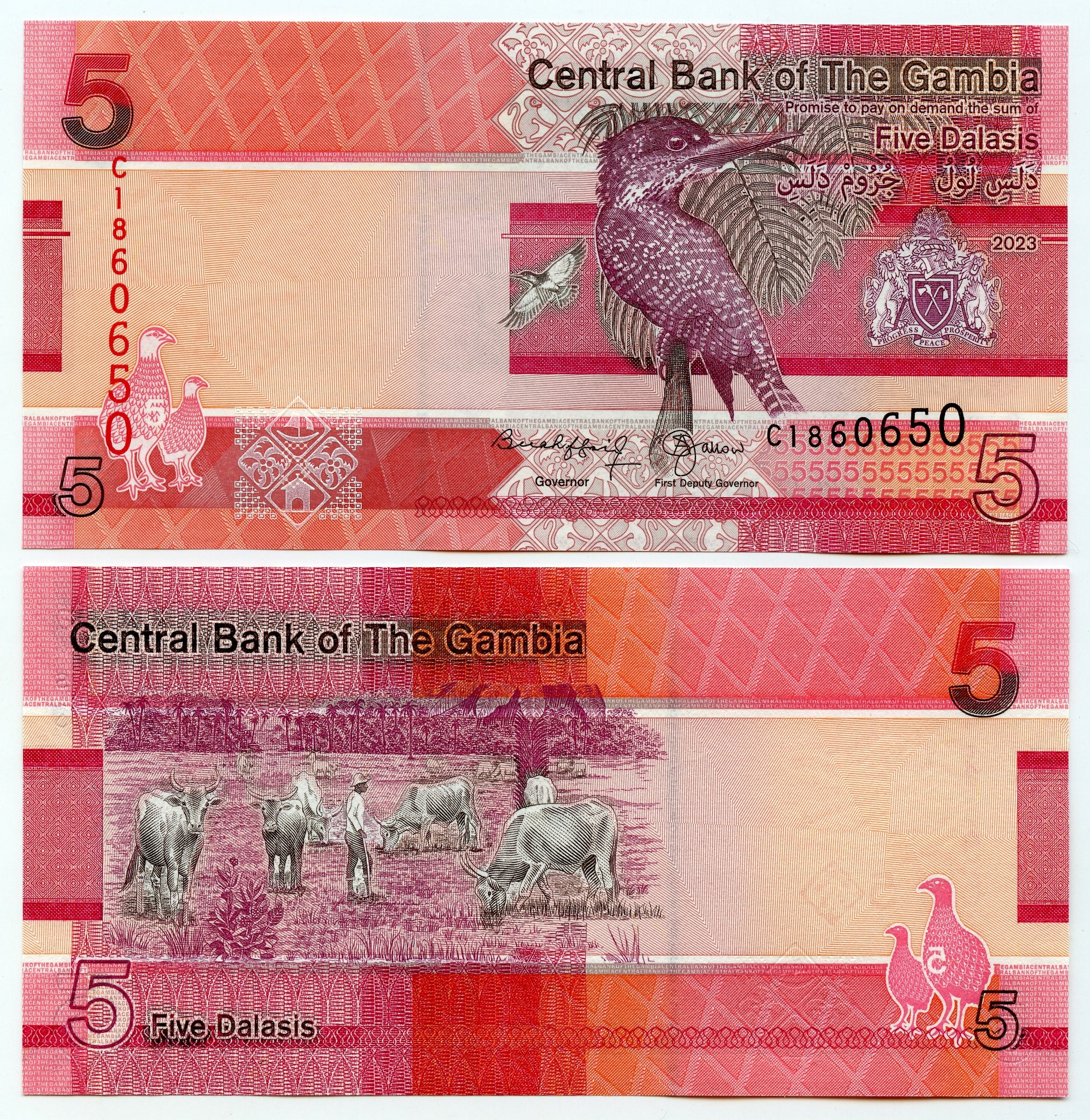 GAMBIA 5 DALASIS 2023 PW-37c UNC