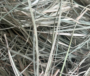 Levně Seno 7 kg pro hlodavce a králíky od farmáře, sušené, přírodní