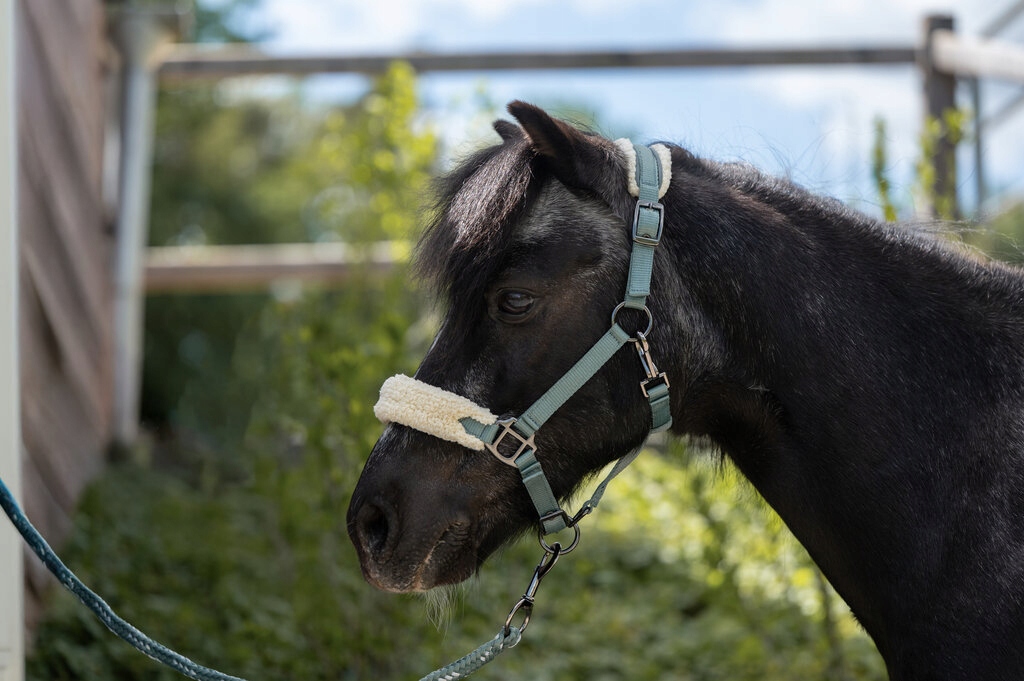 Kantar Hkm Mia Sage mini shetty