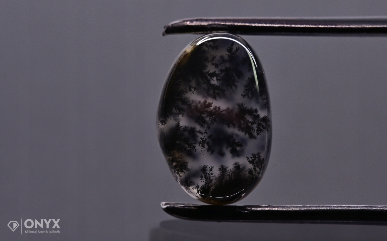 Dendritový achát z Kazachstánu nepravidelná destička