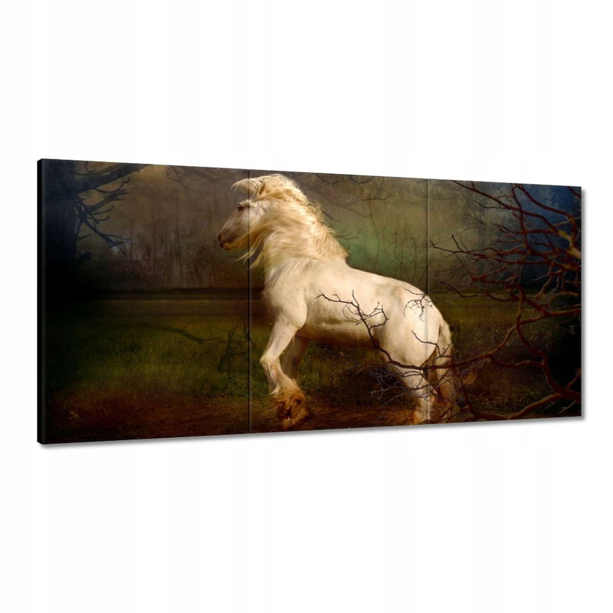 Obrazy 180x90 Kôň Kone Jazdenie