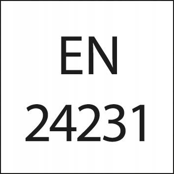 Narzynki EN24232 HSS G1/4" FORMAT EAN (GTIN) 4317784105781