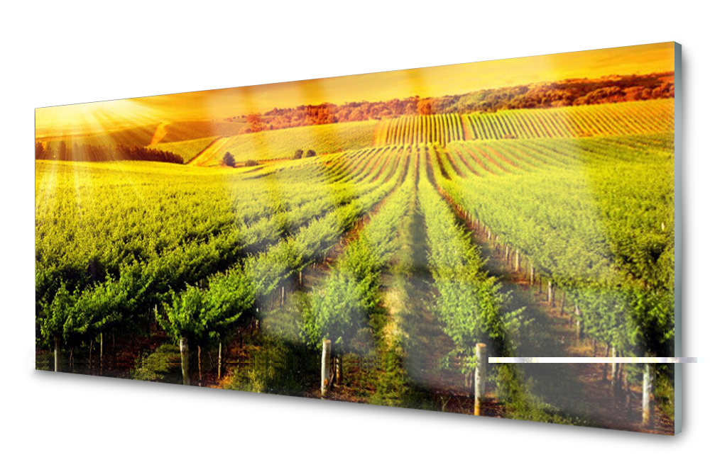 

Panel szklany do kuchni Dekor Pole 125x50