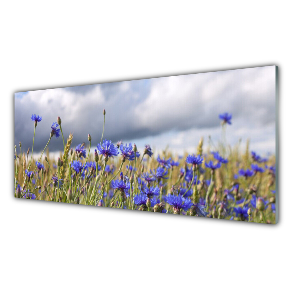 

Fotoobraz na prezent 125x50 Kwiaty Roślina Natura