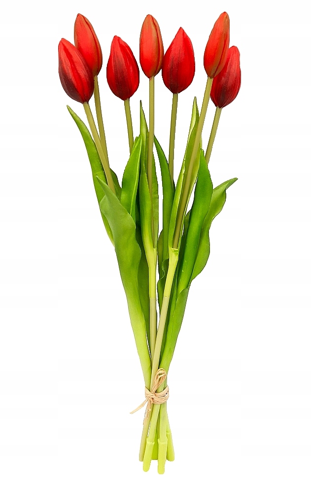 

Tulipan Silikonowy Tulipany Bukiet 7 szt Czerwone
