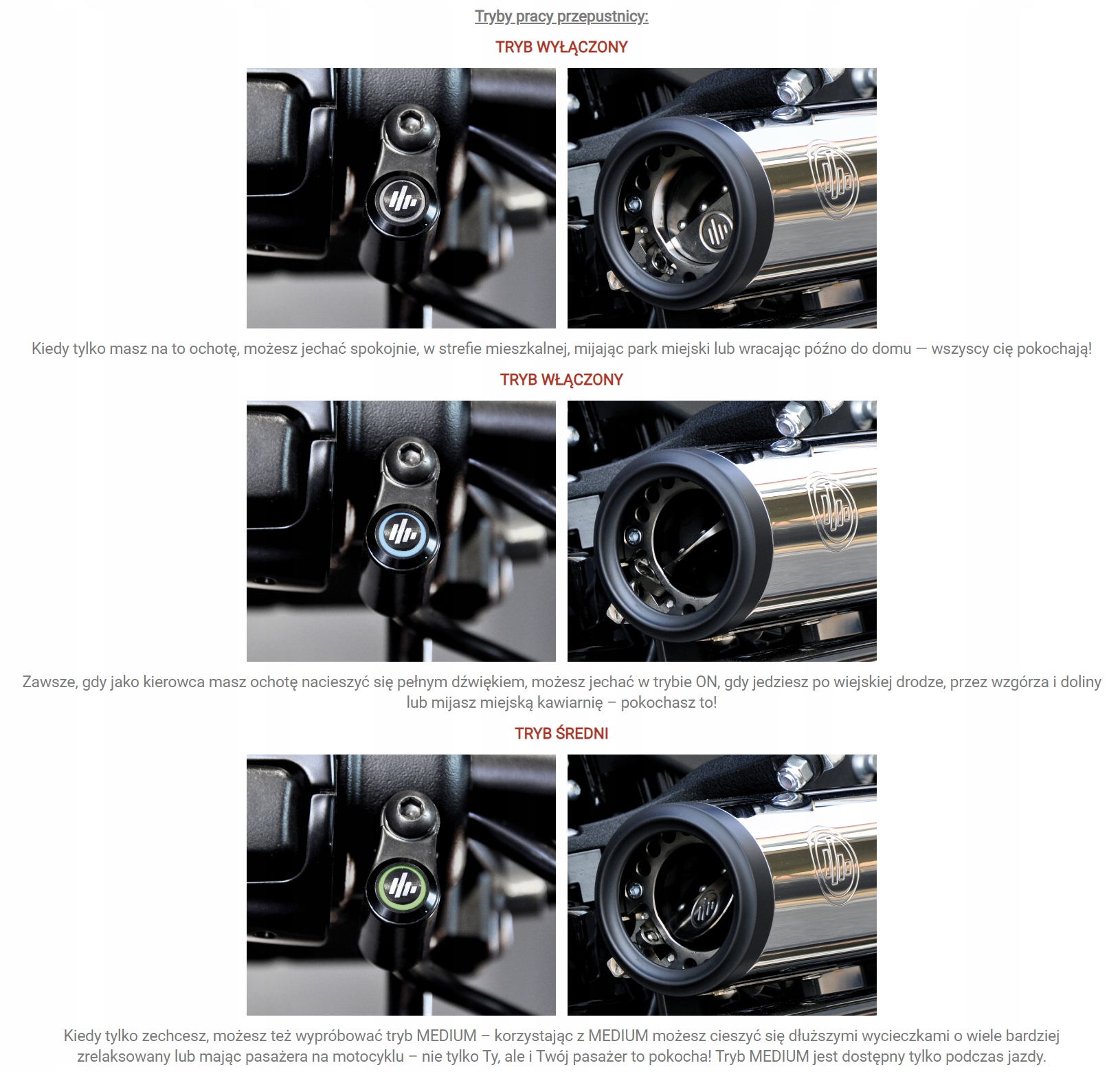 KESSTECH OWALNY TŁUMIK ESE BMW R1200GS 2017-2018 Dopasowanie do pojazdu produkt dedykowany