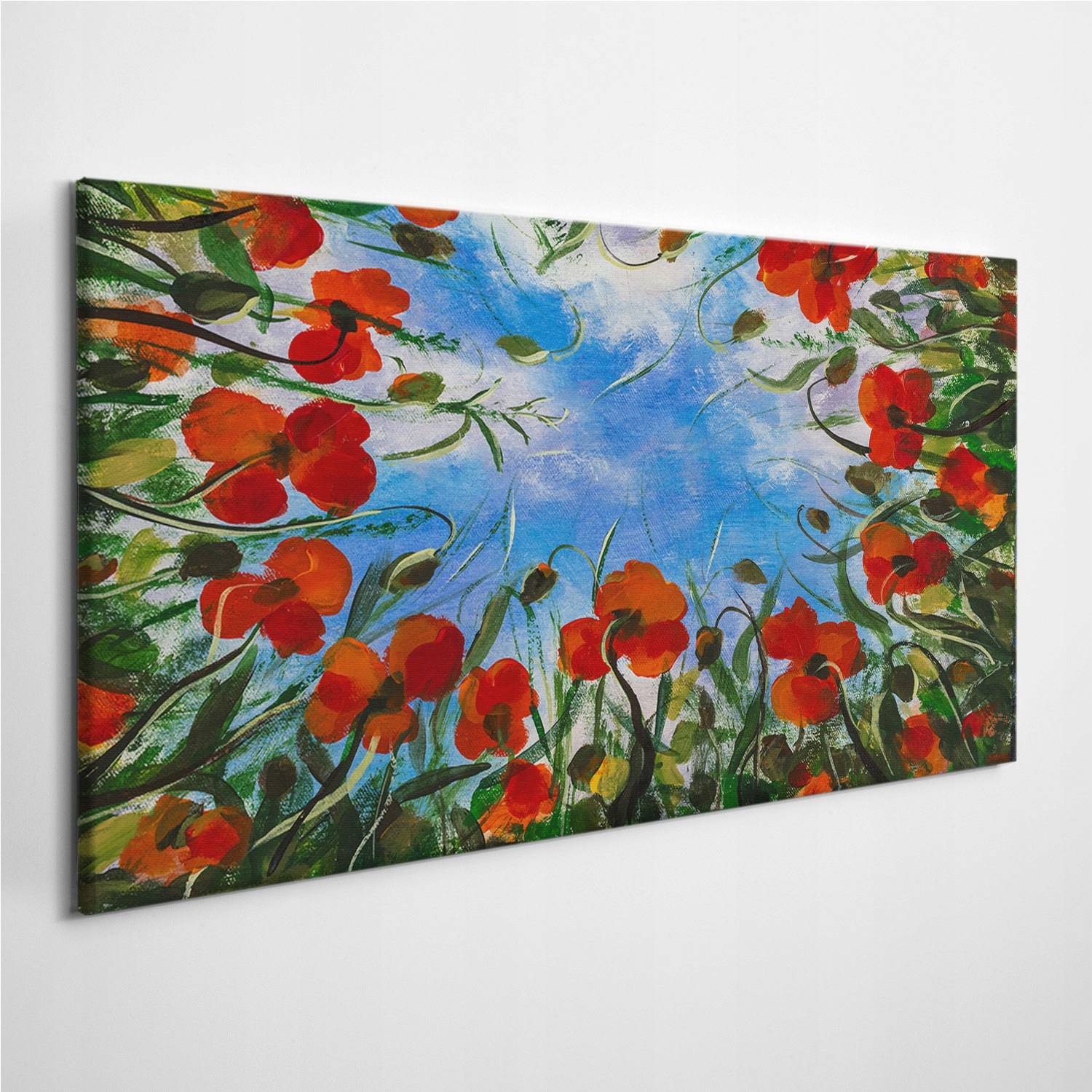 

Fotoobraz z zdjęciem Krajobraz Maki Łąka 100x50 cm