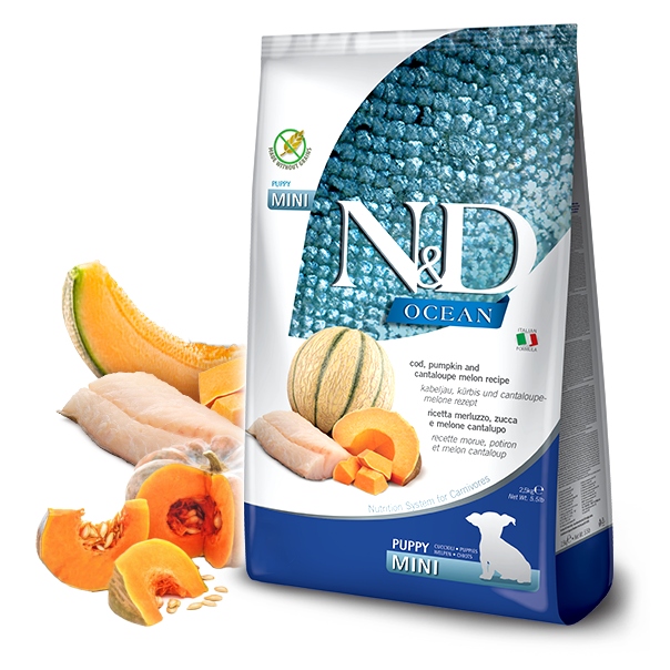 Nd Ocean Puppy Mini Cod Pumpkin Melon 2,5kg karma dla psa szczeniąt
