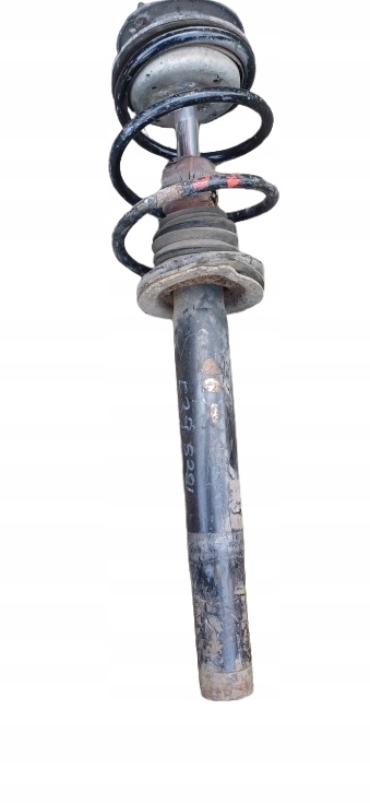 BMW 5 E39 528I shock absorber spring MCPERSON front