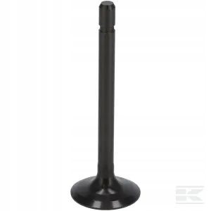 Zawór ssący 1G67313112