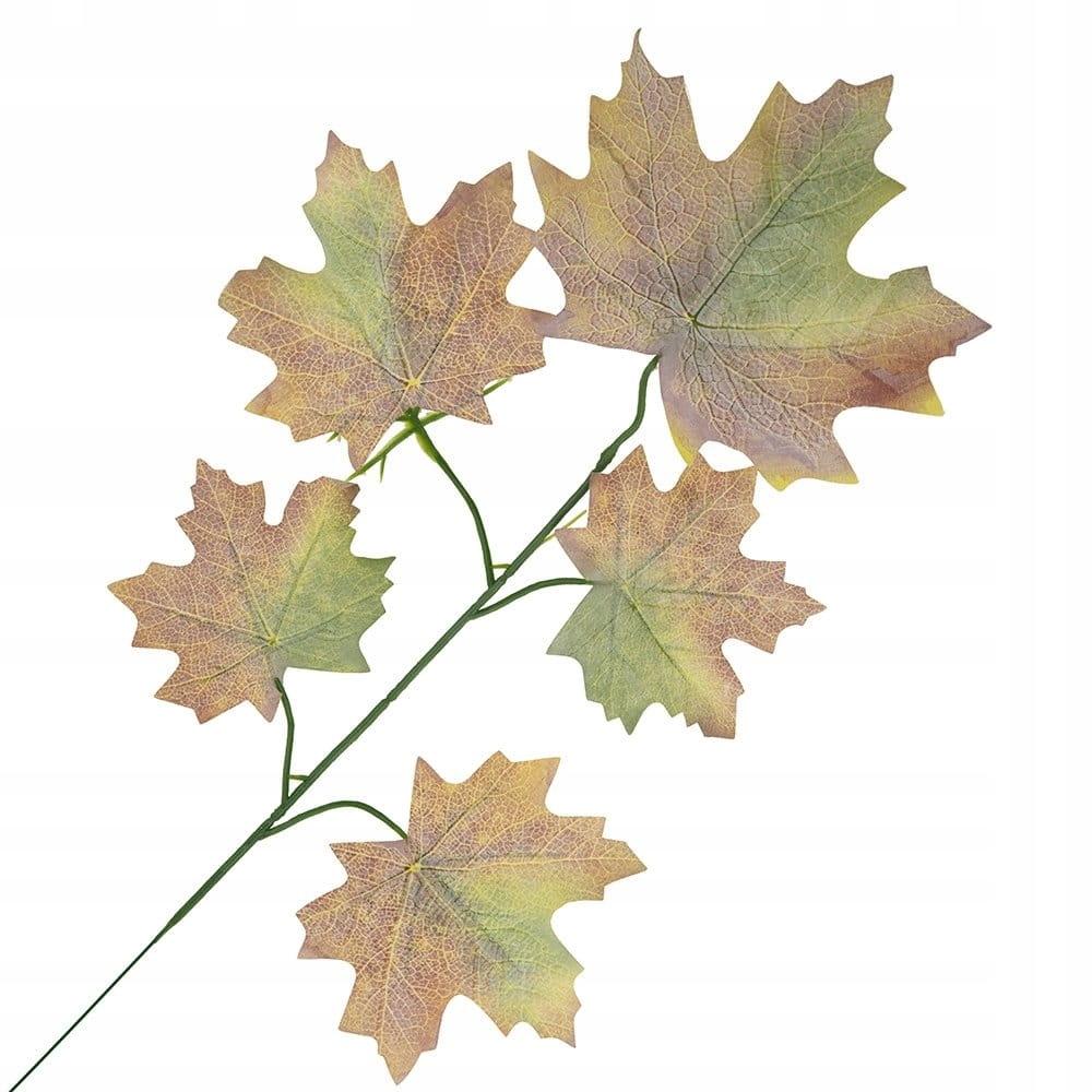 

[680338] Gałązka z liśćmi klon omszała 60cm