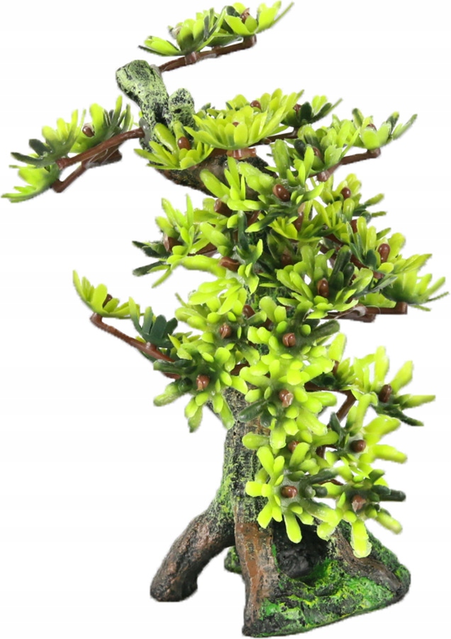 

Aqua Della Bonsai M drzewo liściaste