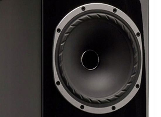 FYNE AUDIO F502 GLOSS BLACK KOLUMNA PODŁOGOWA Rodzaj podłogowe