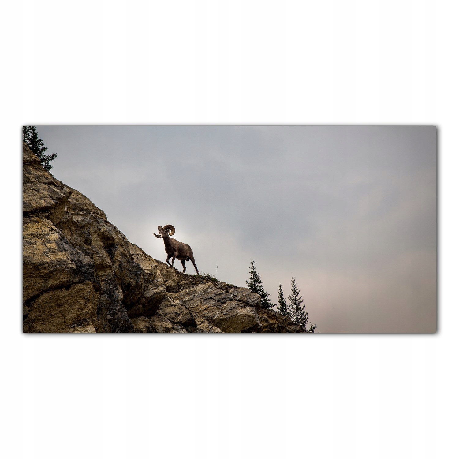 

Hartowany Obraz Szklany Góry Koza Zwierzę 120x60