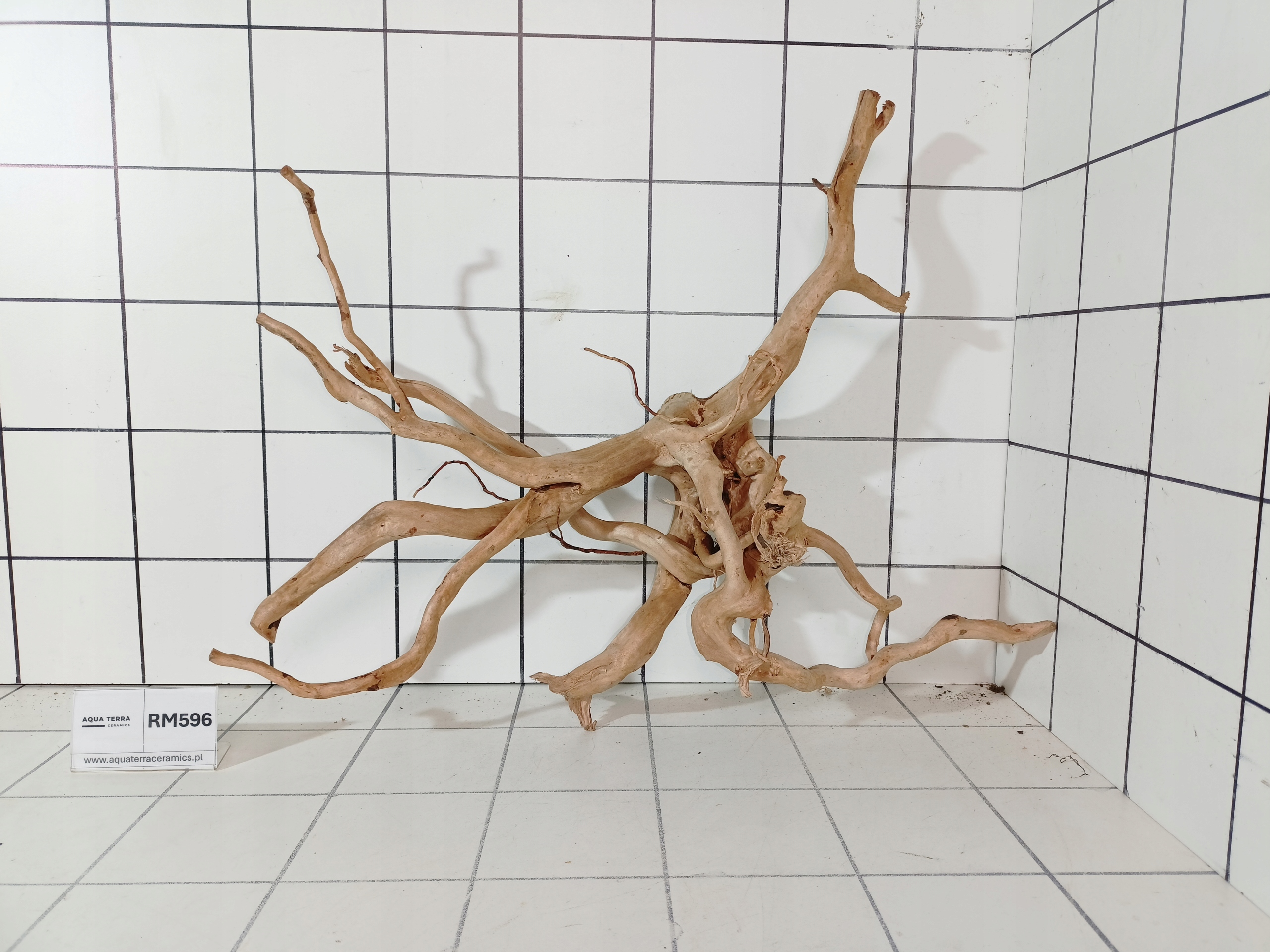 Korzeń Japoński Do Akwarium Terrarium Red Moor RM596 (to co na zdjęciu)