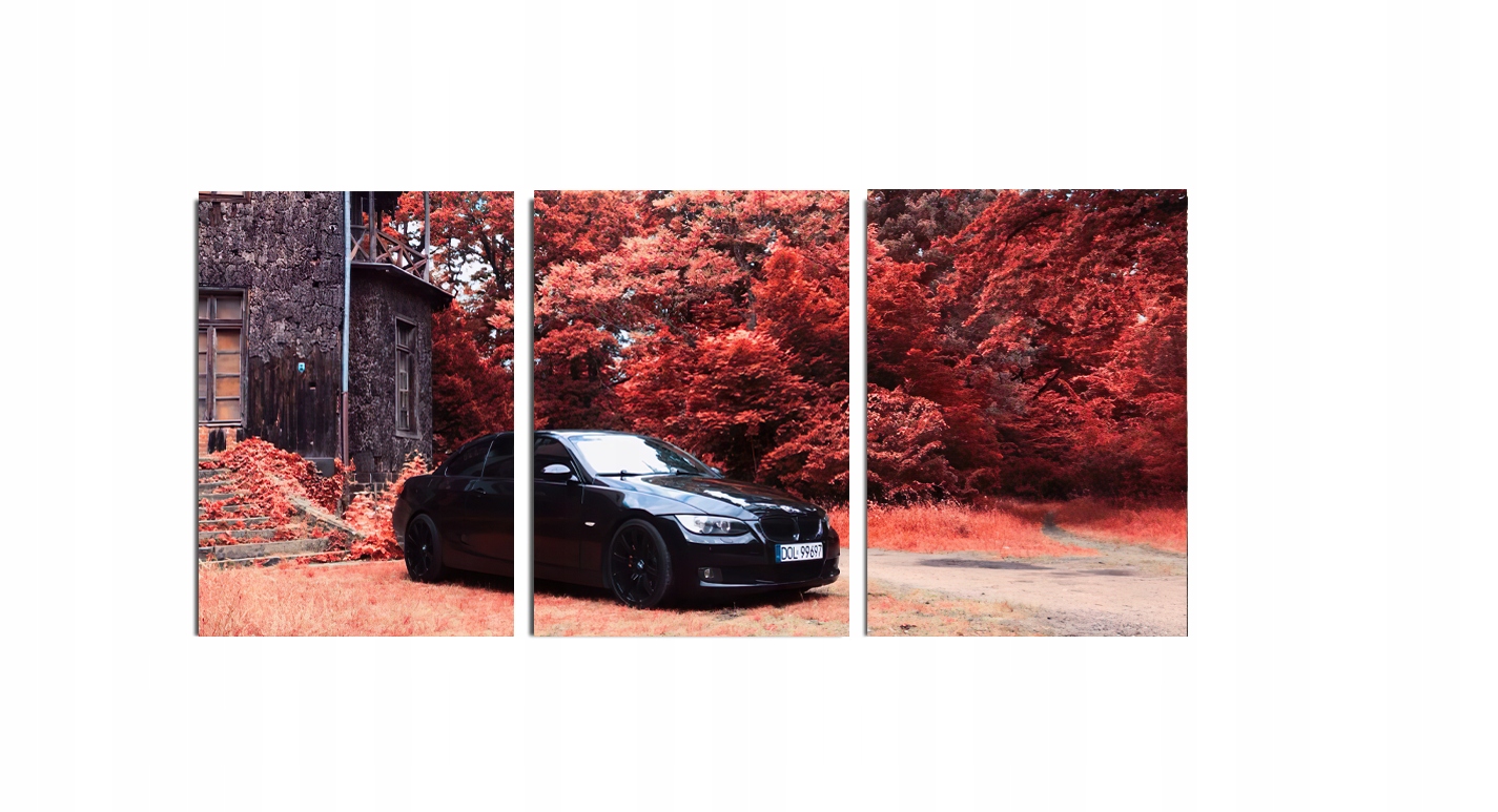 Obraz na zeď sportovní auto Bmw auto černý triptych 40x90 cm