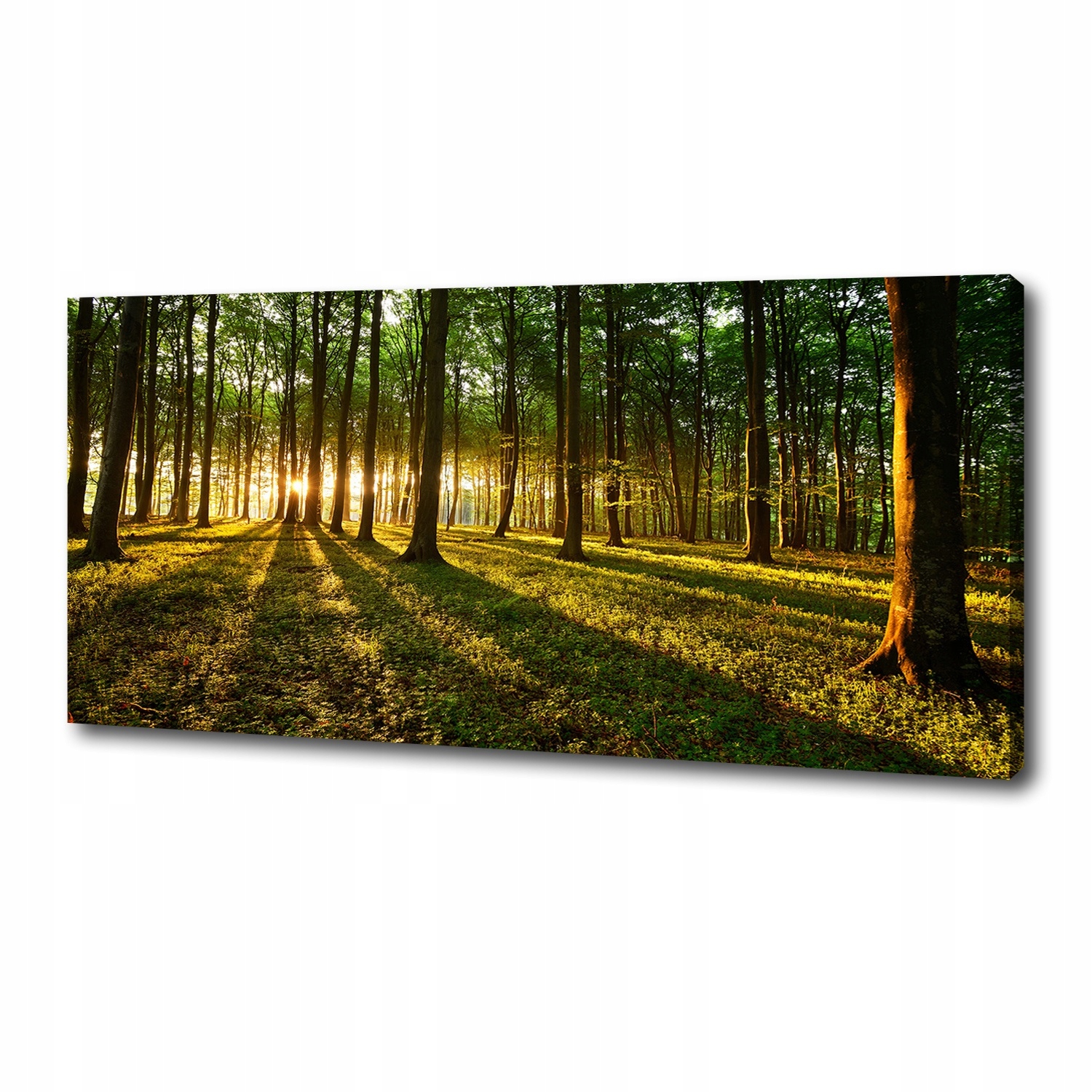

Foto obraz na płótnie Promienie słońca 125x50 cm