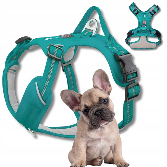Levně Beztlakové Postroje Guard pro psy Adventure, silné, Premium, tyrkysové, velikost M