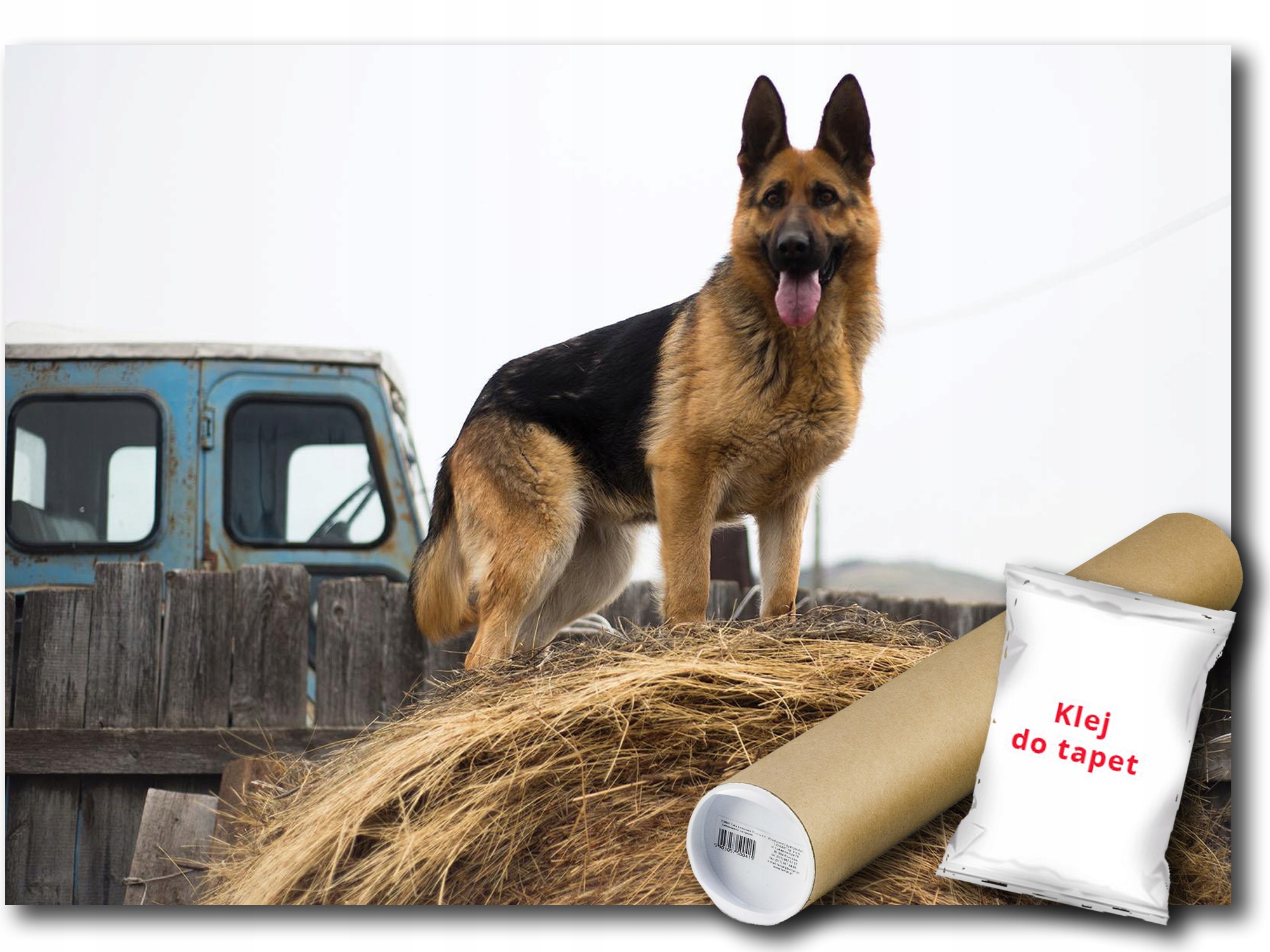 Vinylová Fototapeta Pes Ovčiak 312x219