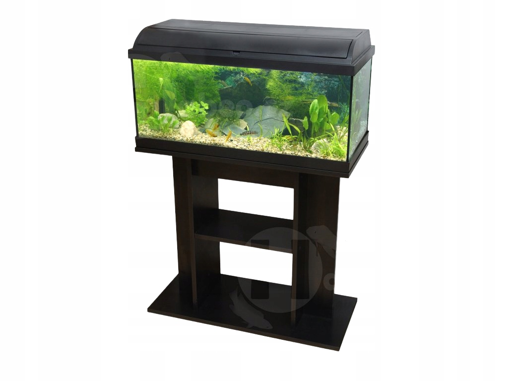 Levně Skříňka pod rtv akvárium terárium Drewstyl 61x31x73 cm, barva černá, pevná