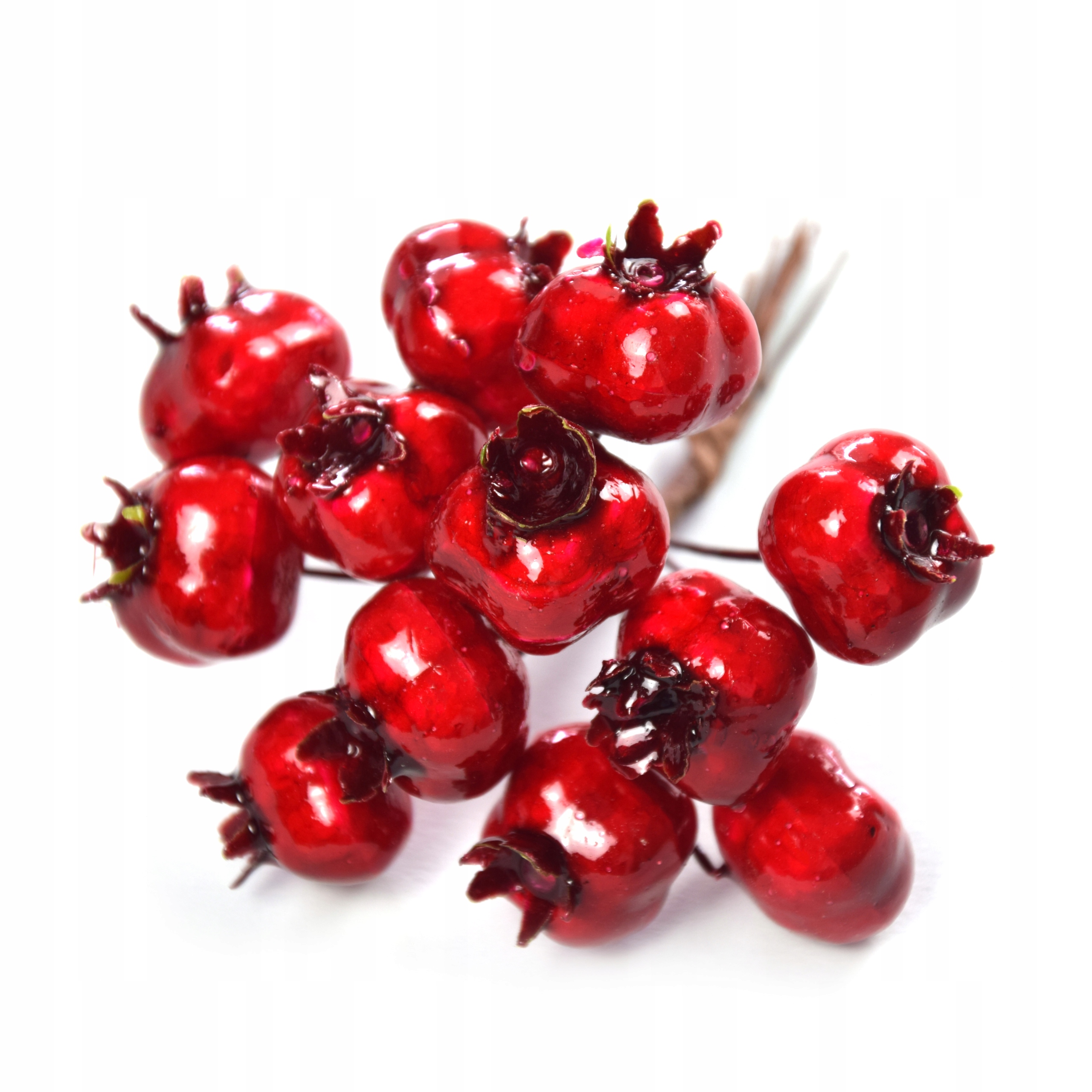 

Głóg na druciku, wiązka duży, 10 cm