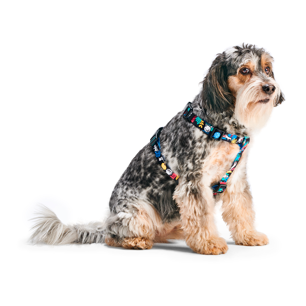 

John Dog Barcelona szelki guard dla psa S blue