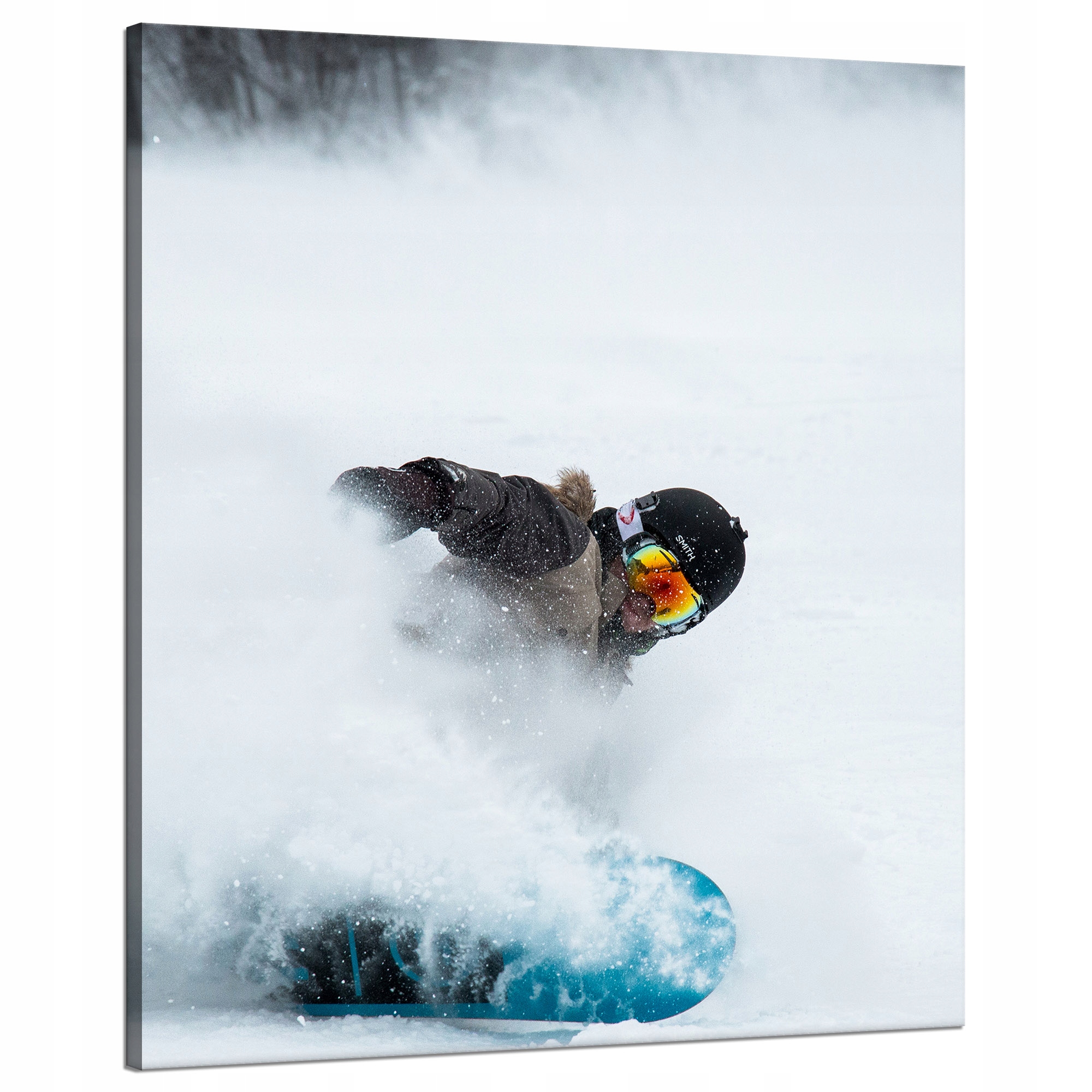 Obraz na plátně Snowboard Sníh Zima 80x100