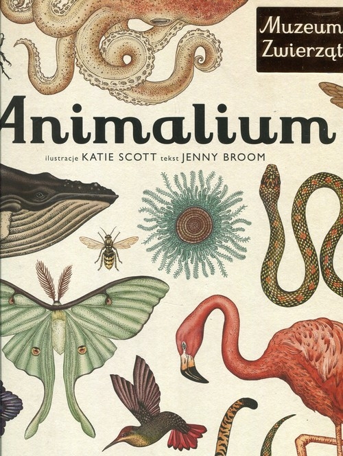 

Animalium.