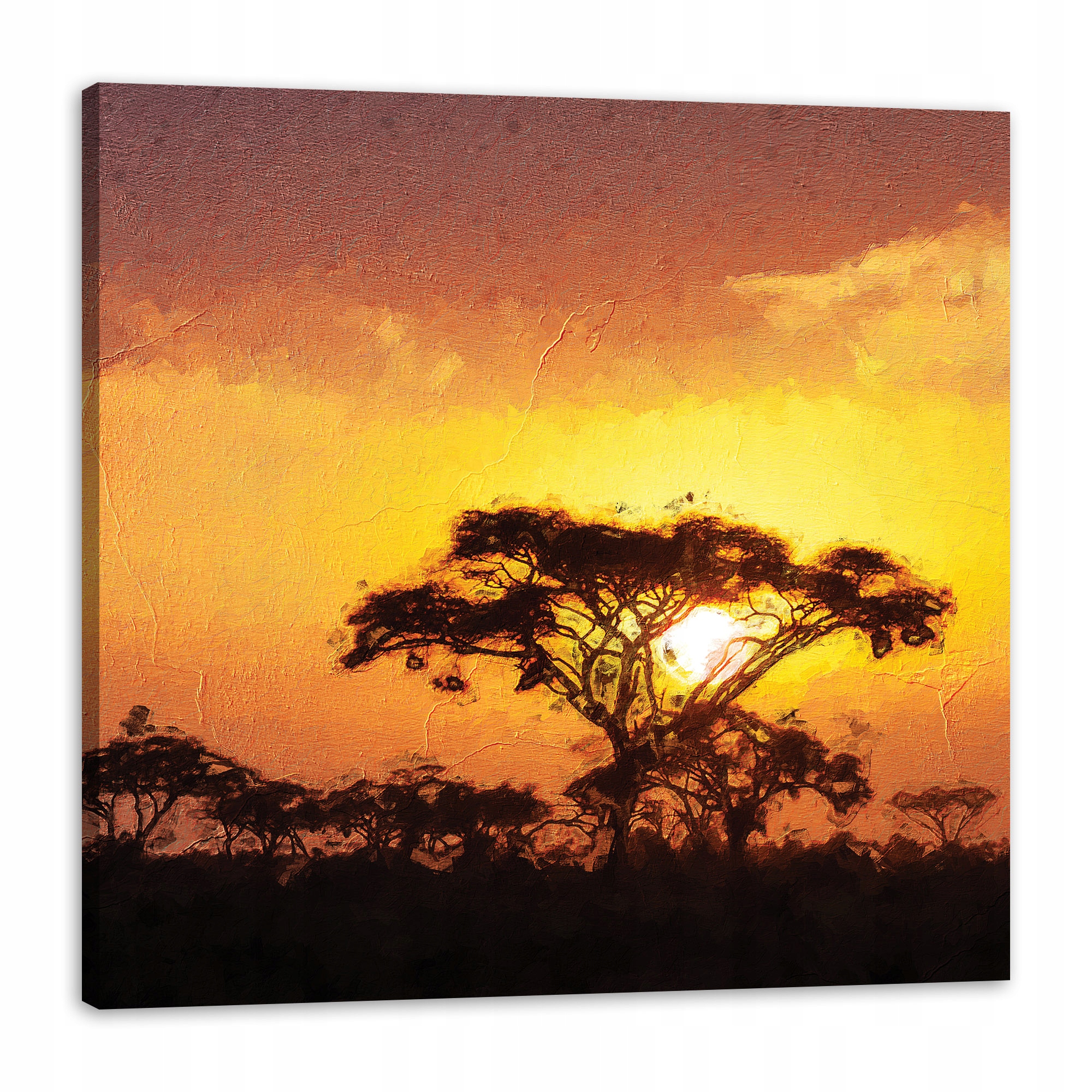 Obraz na plátně Savana Strom Západ Slunce 80x80 cm