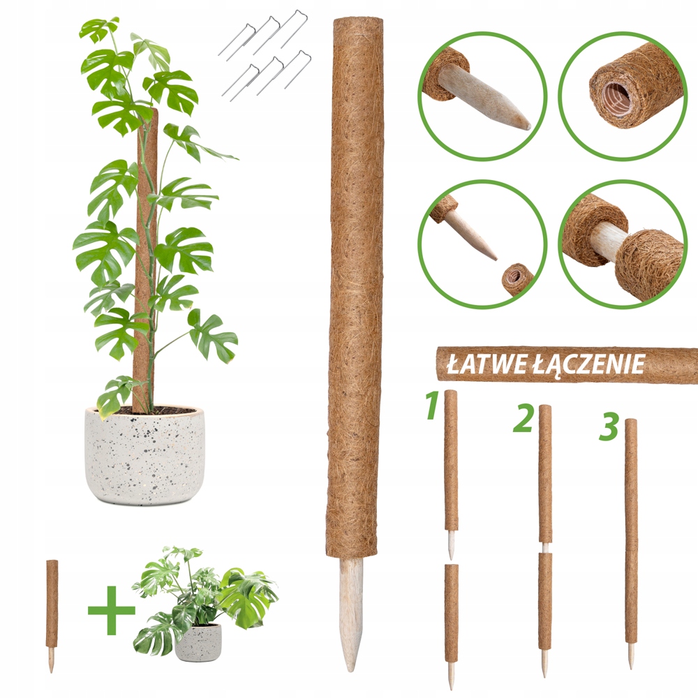 Palik kokosowy 60 cm podpora do roślin tyczka Kod producenta Z005971