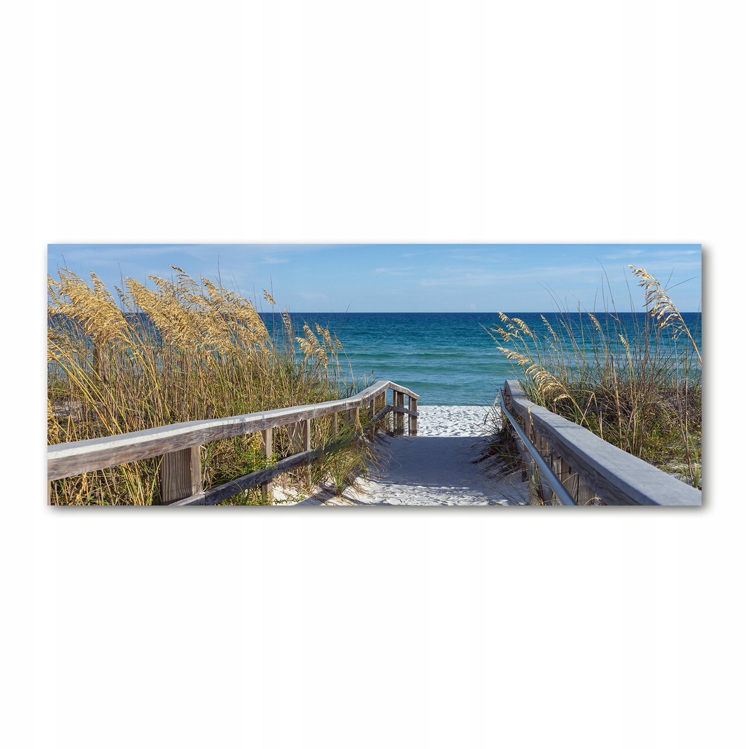 

Foto obraz szkło akryl Nadmorskie wydmy 125x50 cm