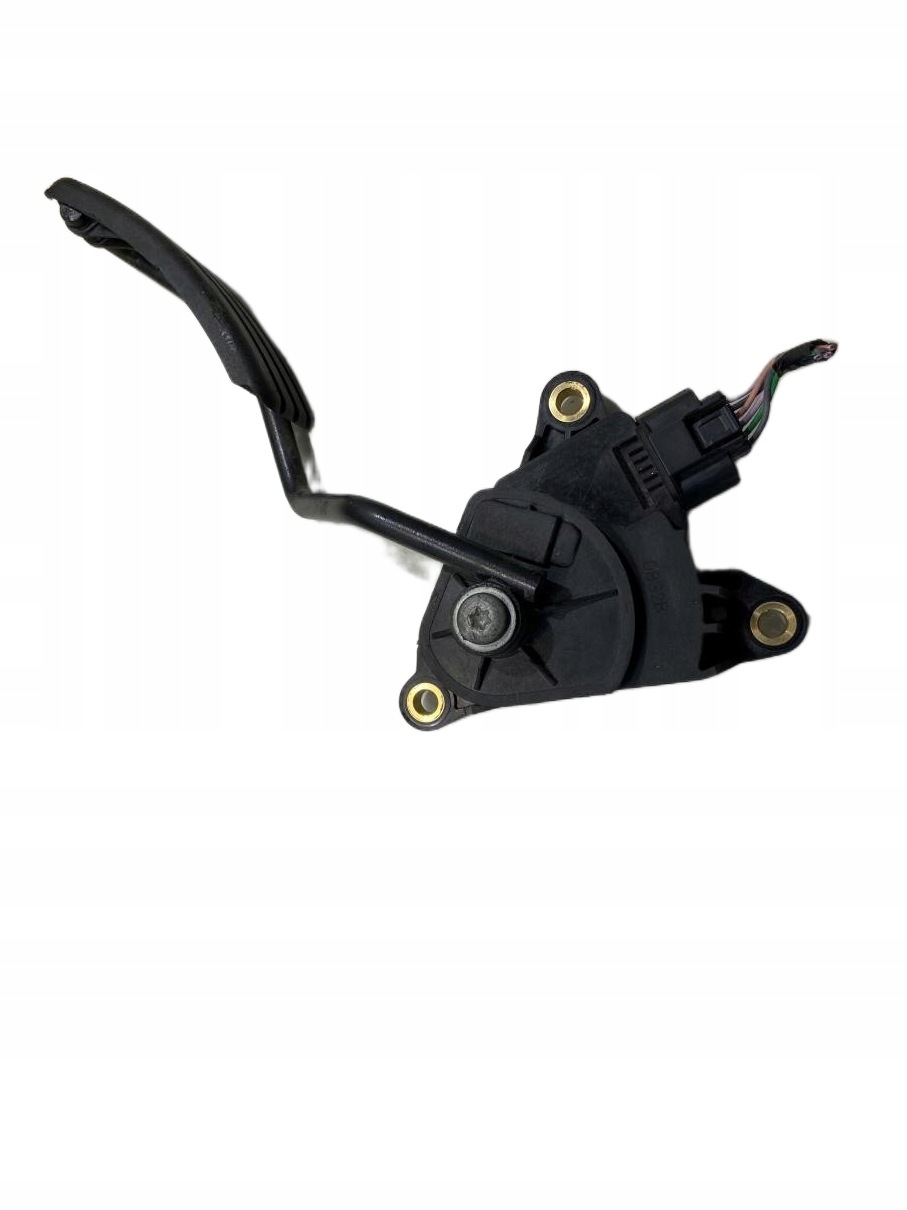 potentiometer gas KANGOO II 1.5 DCI 8200436878