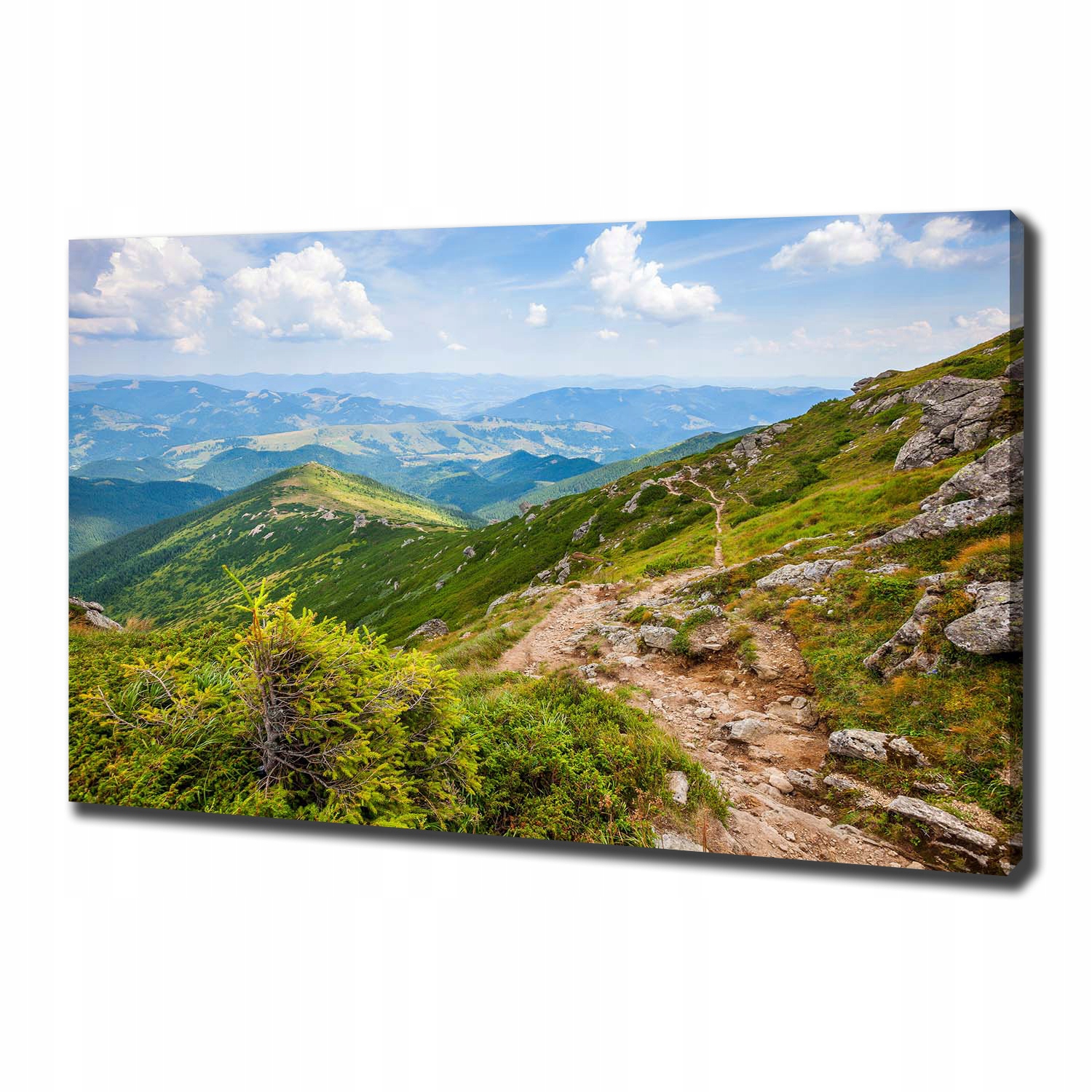 

Foto obraz na płótnie Zielone wzgórza 100x70 cm