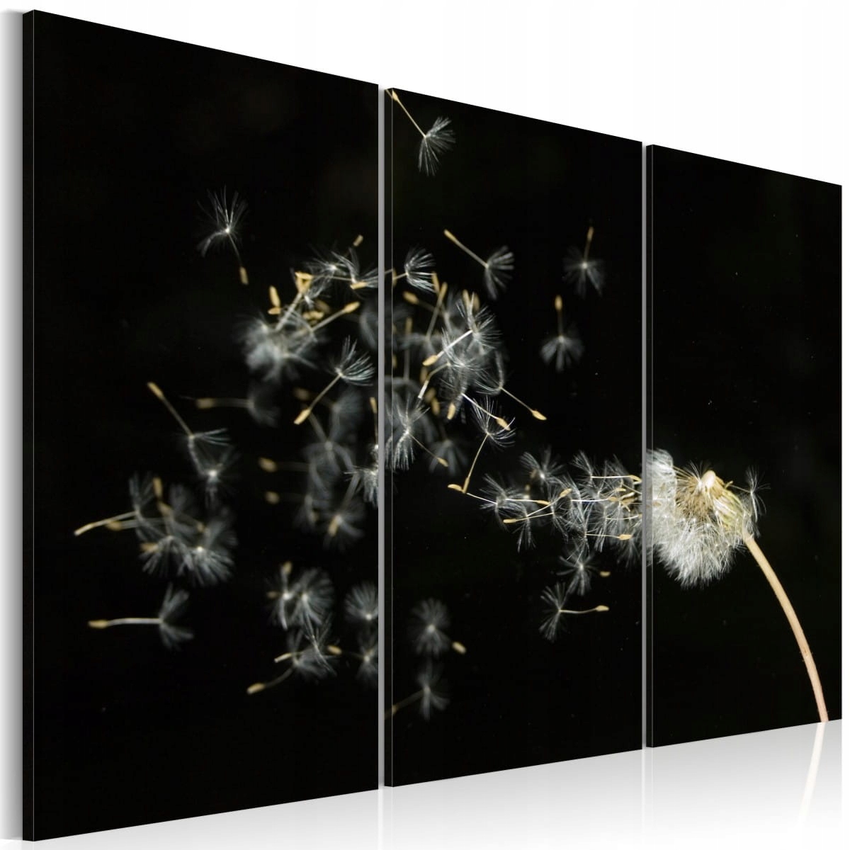 

Obraz - Dmuchawce - ulotność chwil - 90X60