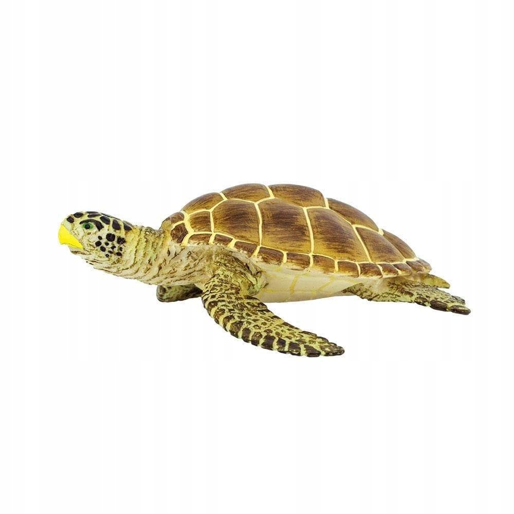 

Żółw Karetta Loggerhead Turtle Safari Ltd. 220229
