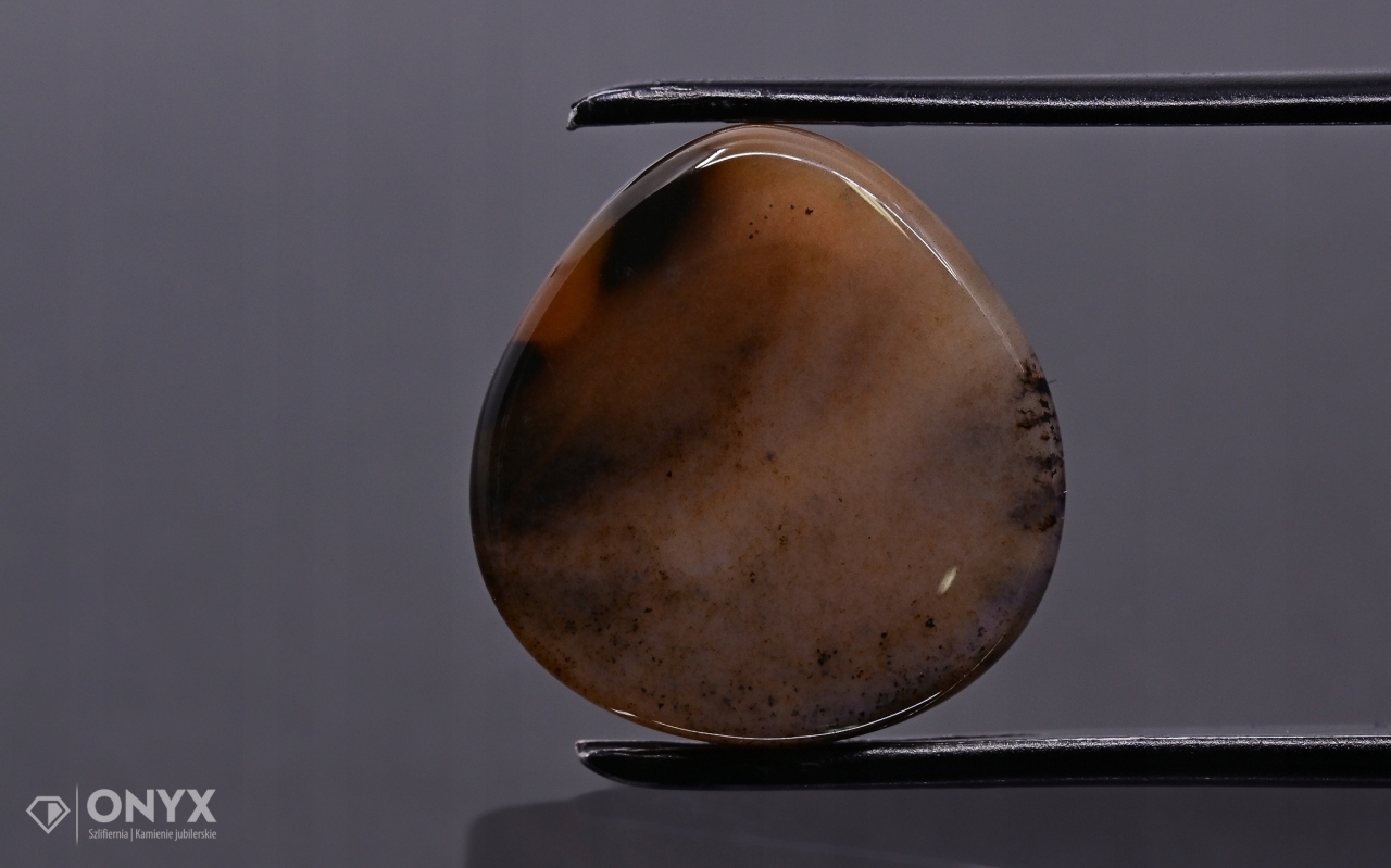 Dendritový achát z Kazachstánu konvexní plaketa slza