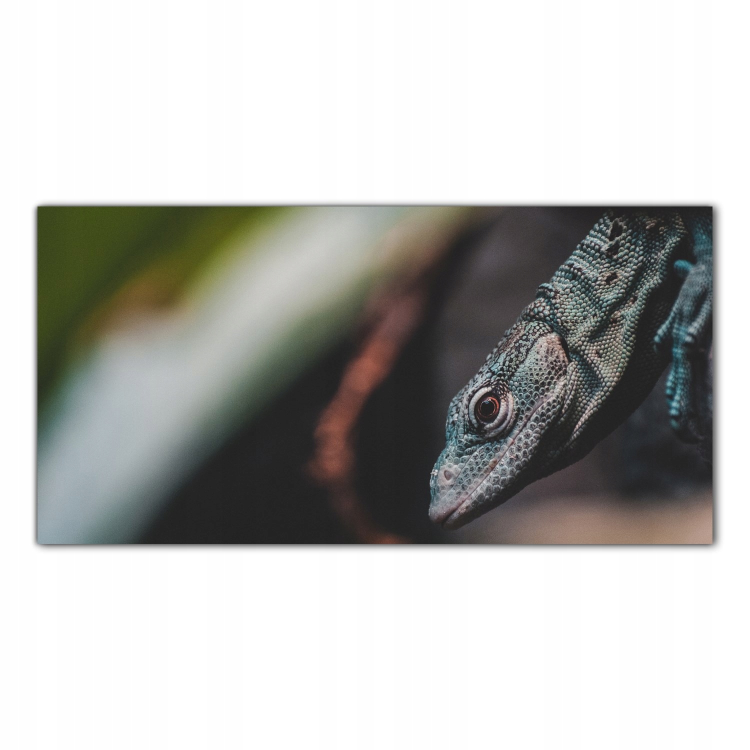 

Obraz Szklany Foto-obraz Jaszczurka Zwierzę 100x50