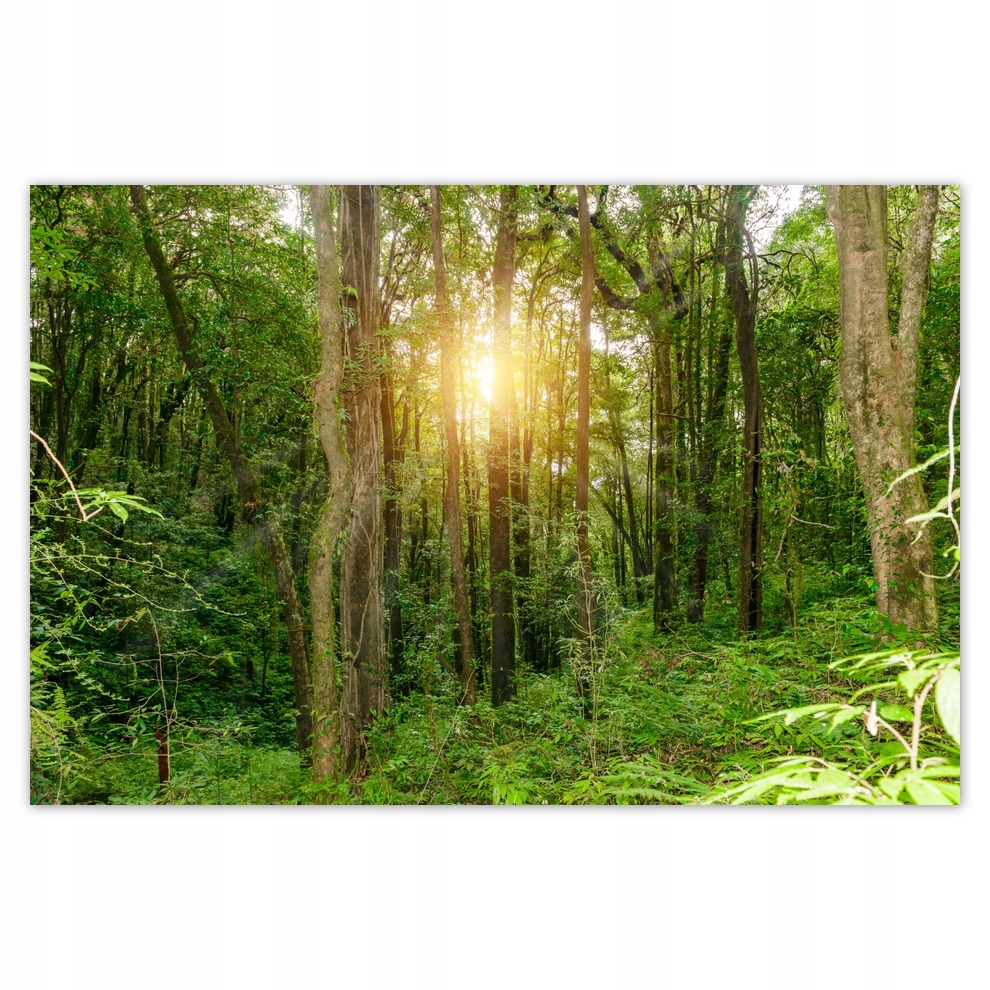 

Plakaty 93x62 Park krajobrazowy