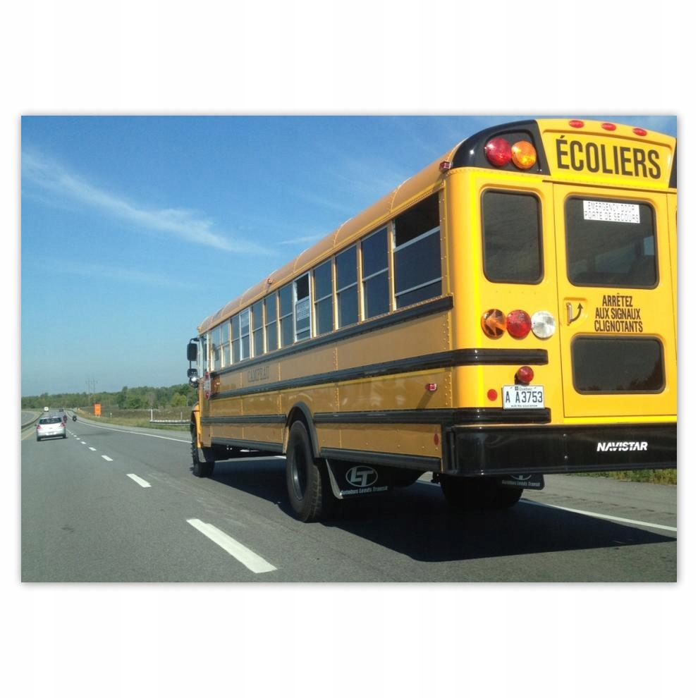 

Plakaty 70x50 Żółty Schoolbus