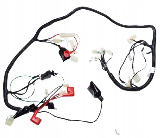 N31628-N31628 - Электрическая Система Keeway Zipp Barton Coliber