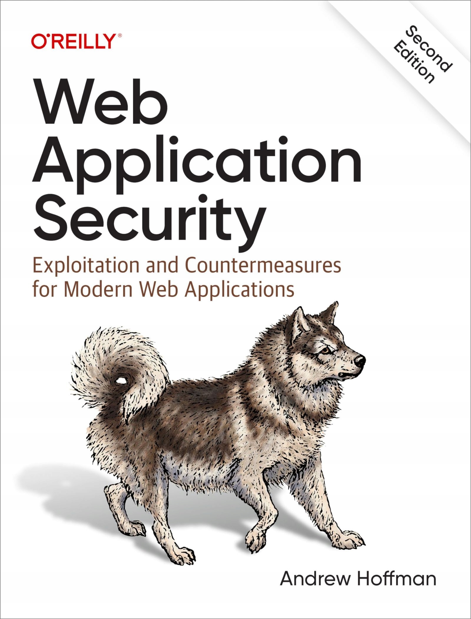 WEB APPLICATION SECURITY 2E (KSIĄŻKA)