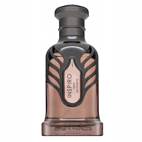 Riiffs Inspiro Men parfémovaná voda pro muže 100 ml