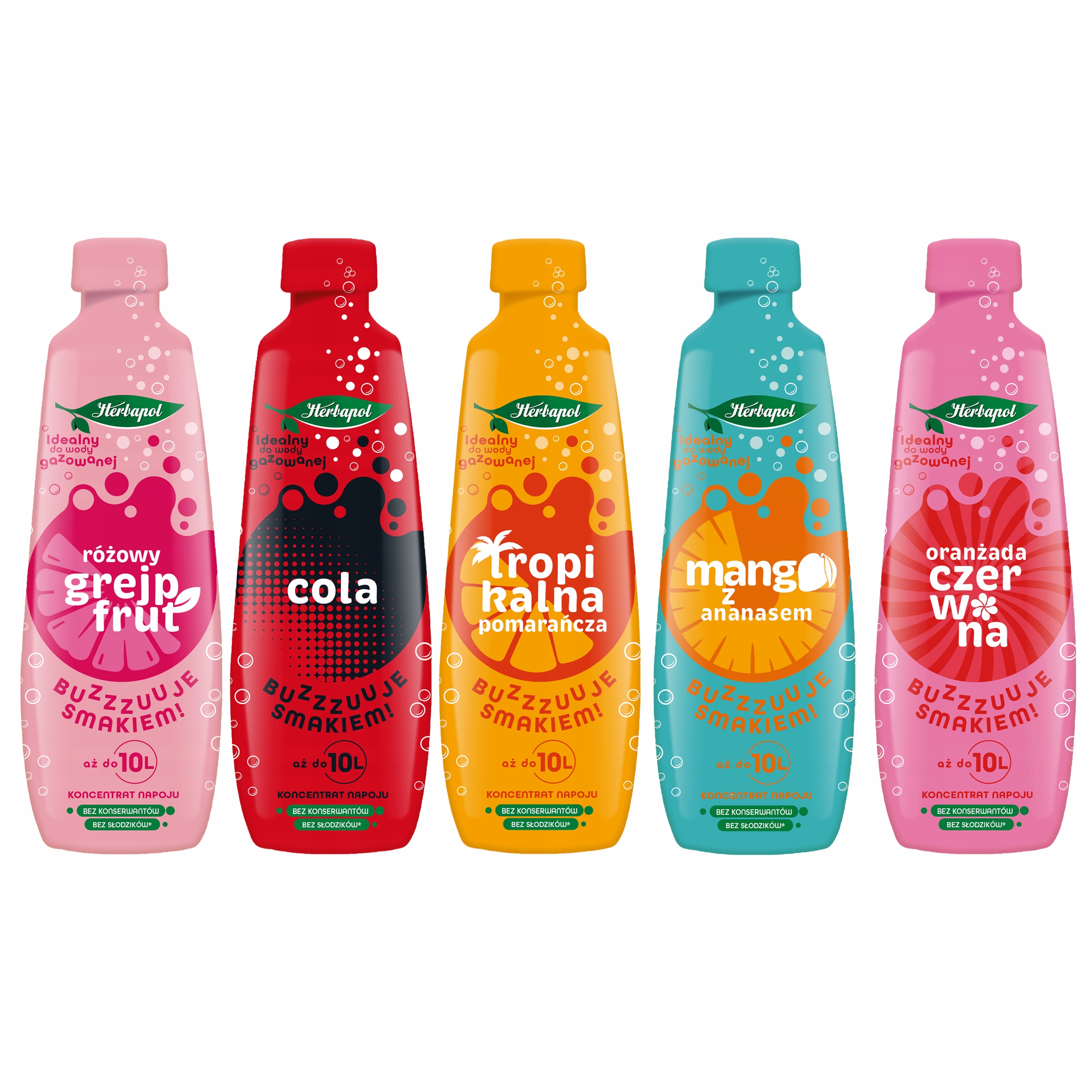 Sada 5 x Koncentrát nápoje Herbapol, přísada do nápoje, mix 5 příchutí